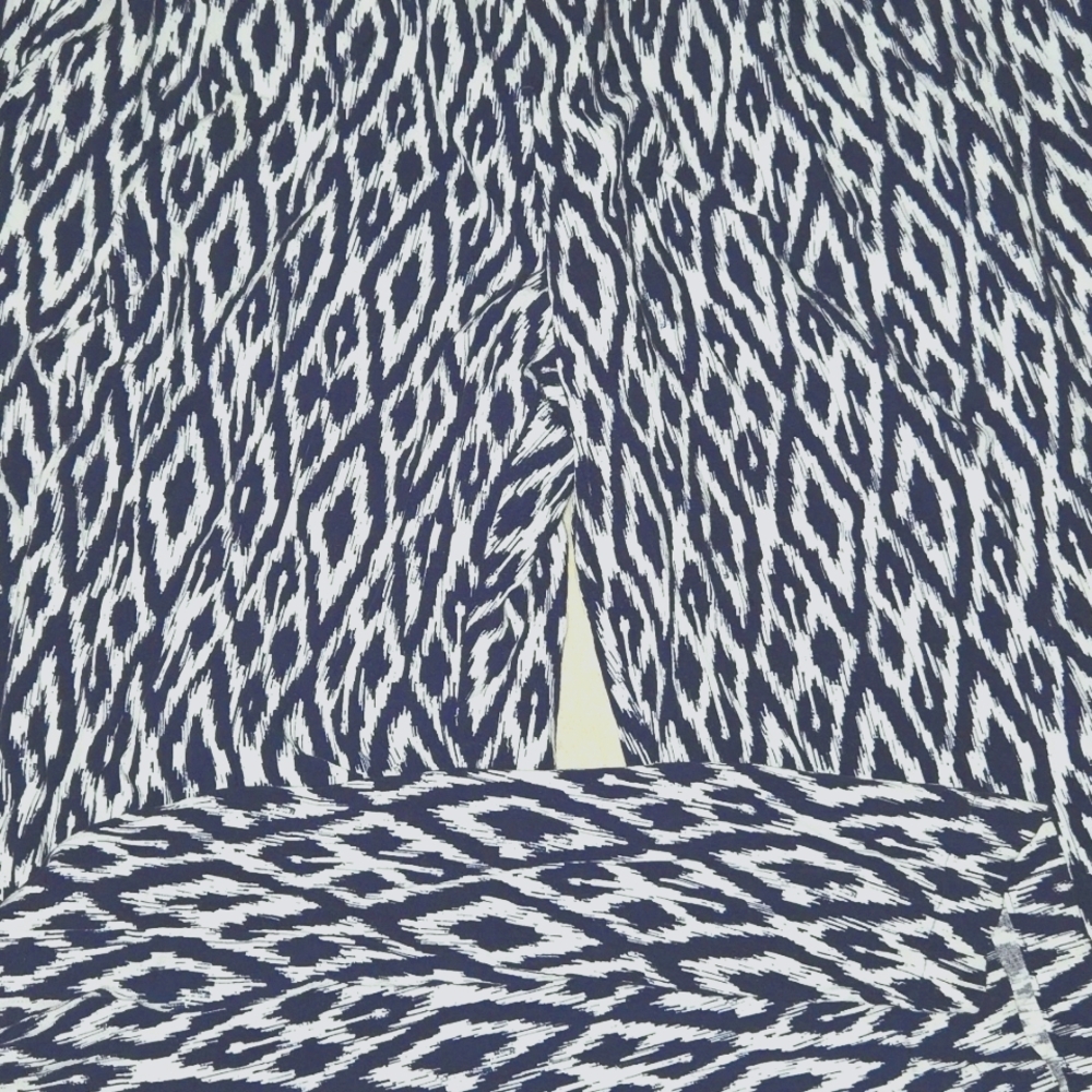 Blue  and White Pleated Pant for Casual Wear SKU27